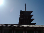 06032515.03250002.JPG