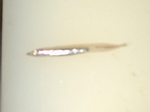 06032518.03250008.JPG